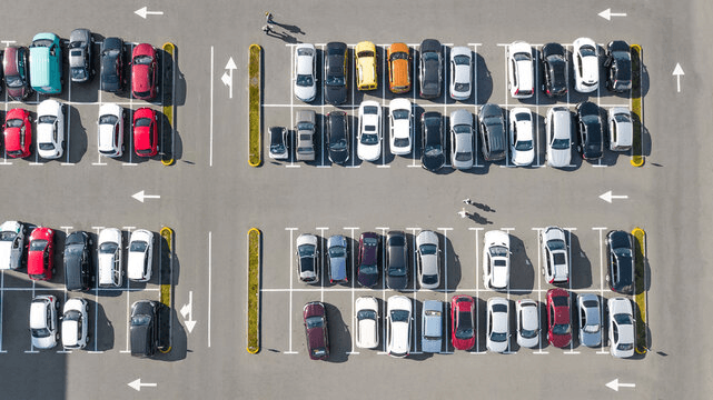 The Real Cost of Parking Violations cover image